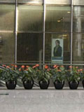 广州人民政府驻北京办公楼植物租摆案例