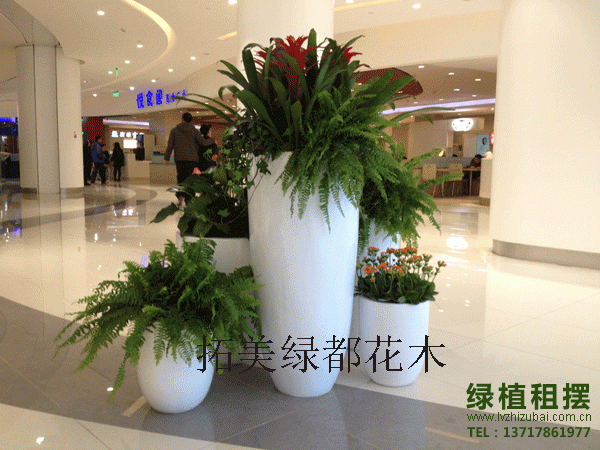 花卉组合2